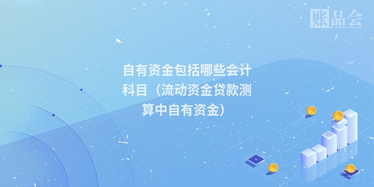 自有资金包括哪些会计科目（流动资金贷款测算中自有资金）