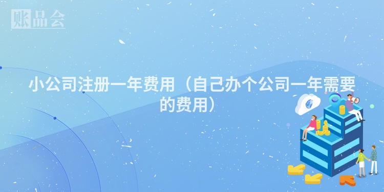小公司注册一年费用（自己办个公司一年需要的费用）