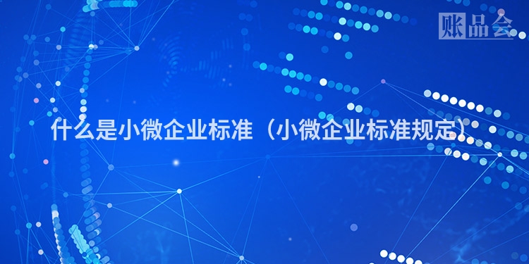 什么是小微企业标准（小微企业标准规定）