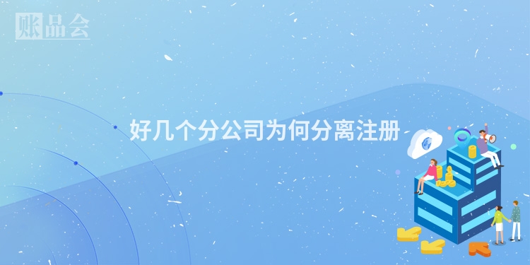 好几个分公司为何分离注册