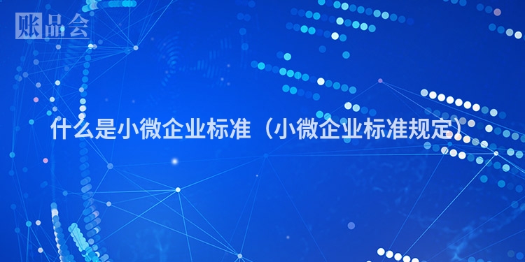 什么是小微企业标准（小微企业标准规定）