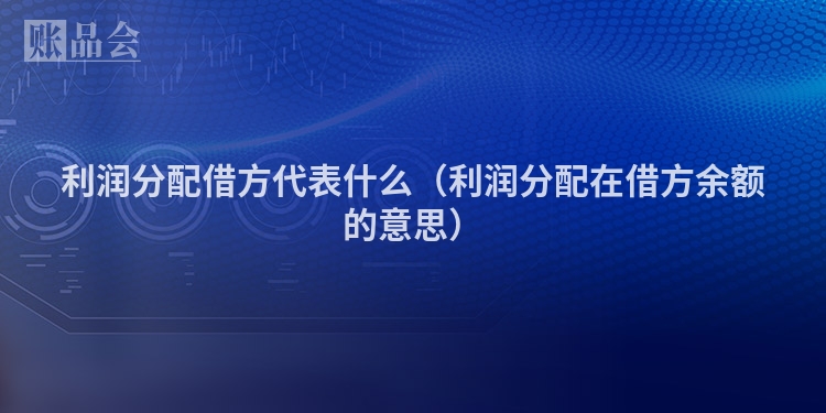 利润分配借方代表什么（利润分配在借方余额的意思）